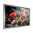 Silver Single Picture Framed