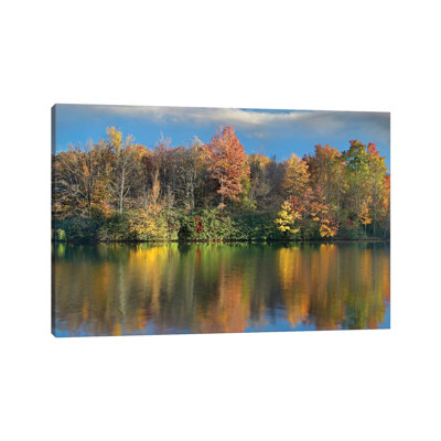 Deciduous Forest In Autumn Along Price Lake by Tim Fitzharris - Wrapped Canvas Print