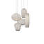 Coral 5-Light Chandelier