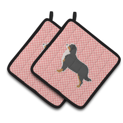 Bouvier bernois damier