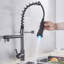 Belfry Kitchen Genevrier Pull Out Kitchen Faucet
