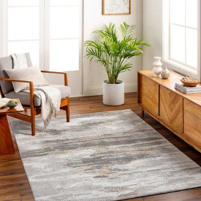 Modern Rug, Abstract Stain Resistant Easy to Clean Rug For Living Room, Dining Room, Bedroom, Kitchen