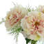 Pivoine et fougère dans un vase