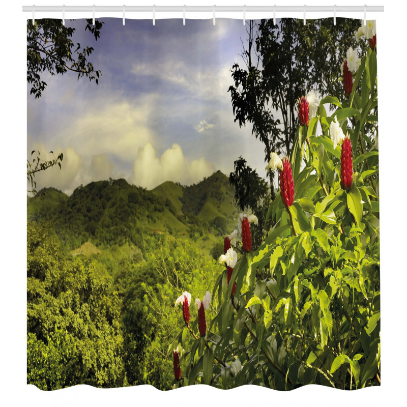 Shower Curtain with Hooks Included, 70" H x 69" W