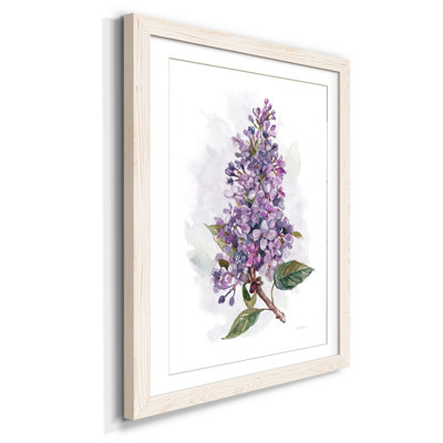 " Awash In Lilac I " Painting Print