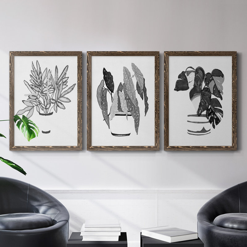 B&W d'intérieur plante IV - ensemble de 3 reproductions d'art sur toile, Noyer, H 37,5 po x l 82,5 po x P 1,5 po