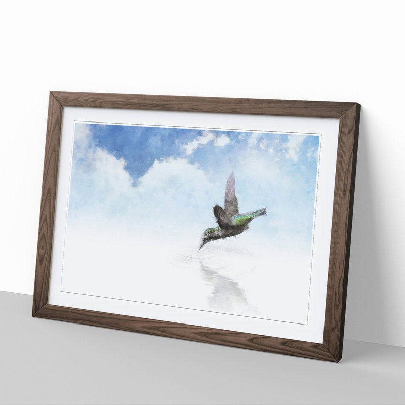 Hummingbird Vol.1 - Picture Frame Graphic Art, Walnut Framed, 48cm H x 65cm W x 2cm D