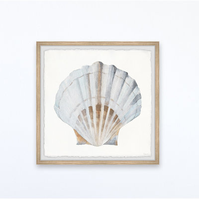 «Pretty White Shell», reproduction encadrée