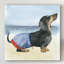 « hot dog iv », peinture sur toile tendue-95724229