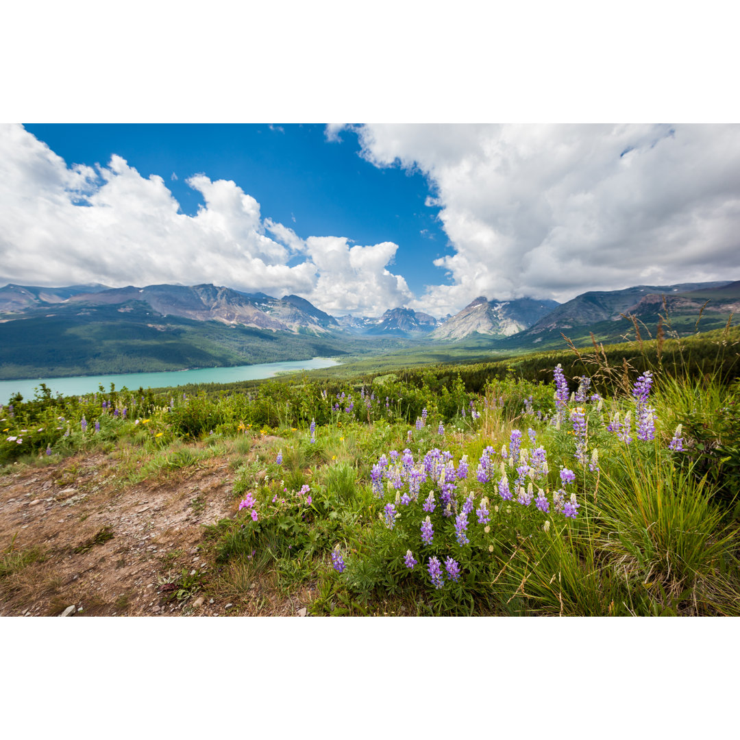 Leinwandbild Berg und Wildblumen im Frühling, Glacier National Park