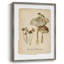 Marshland Mushroom, reproduction encadrée - bois massif-802626005