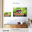 Guirlande Brampt-108690005