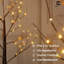 4FT Artificial Brown Twinkling Birch Tree w/ 48 LED Lights, 48 Inch Brown Lighted Twig Tree for Holiday Decor   -1137020820-1115419504
