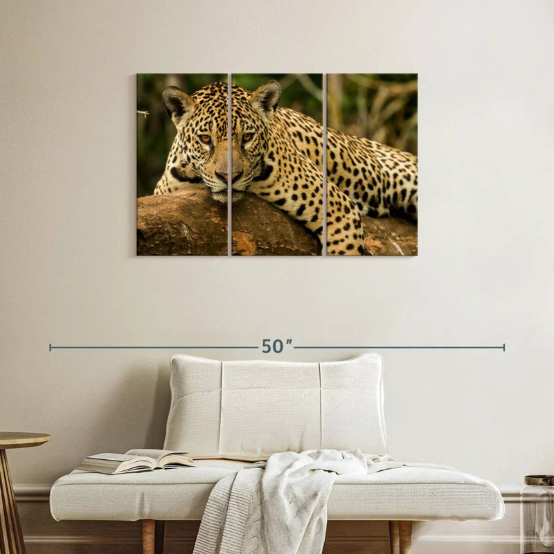 Brampt Intense Jaguar Gaze, 24" H x 38" W