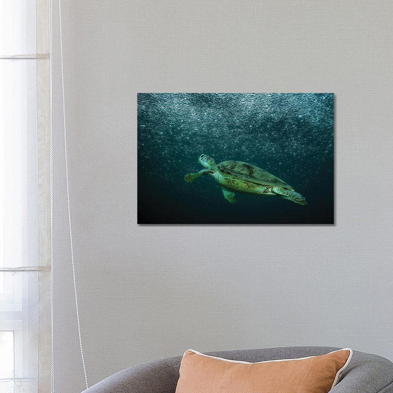 Rain by Serge Melesan - Wrapped Canvas Print, 66.04 cm H x 45.72 cm W x 1.91 cm D