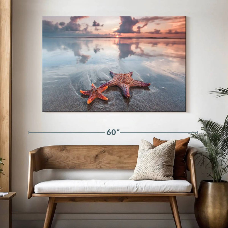 Paire d'étoiles de mer Brampt Beach, H 34 po x l 51 po