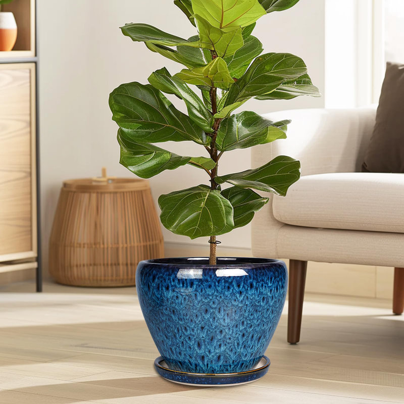 Ceramic Modern Glaze Succulent Planter Pot, 7" H x 10" W x 10" D
