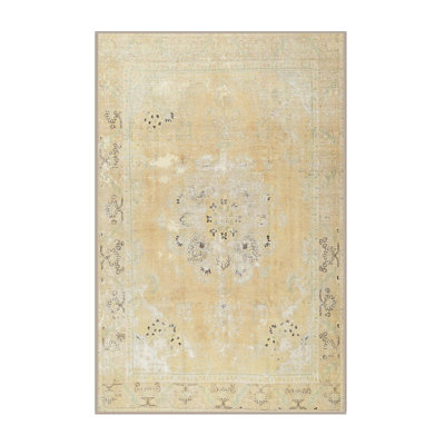 Barin Oriental Indoor Rug
