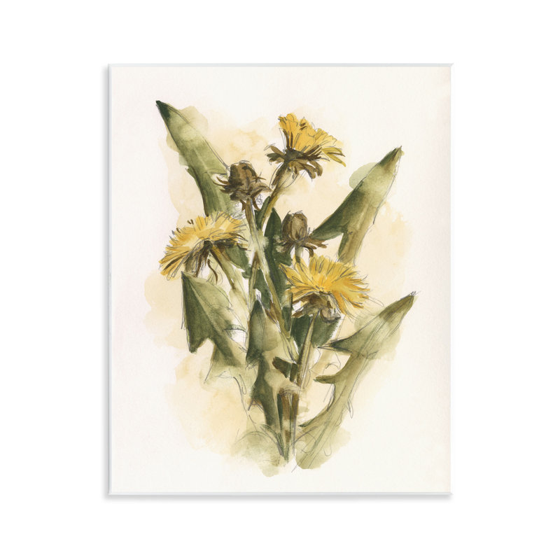 Art mural sur plaque Cottage Buttercup Flowers par Ethan Harper