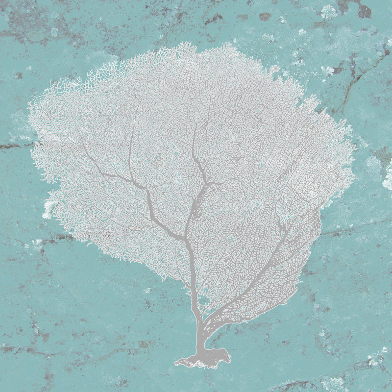 Graphic Sea Fan IX - Wrapped Canvas Print, 51cm H x 51cm W