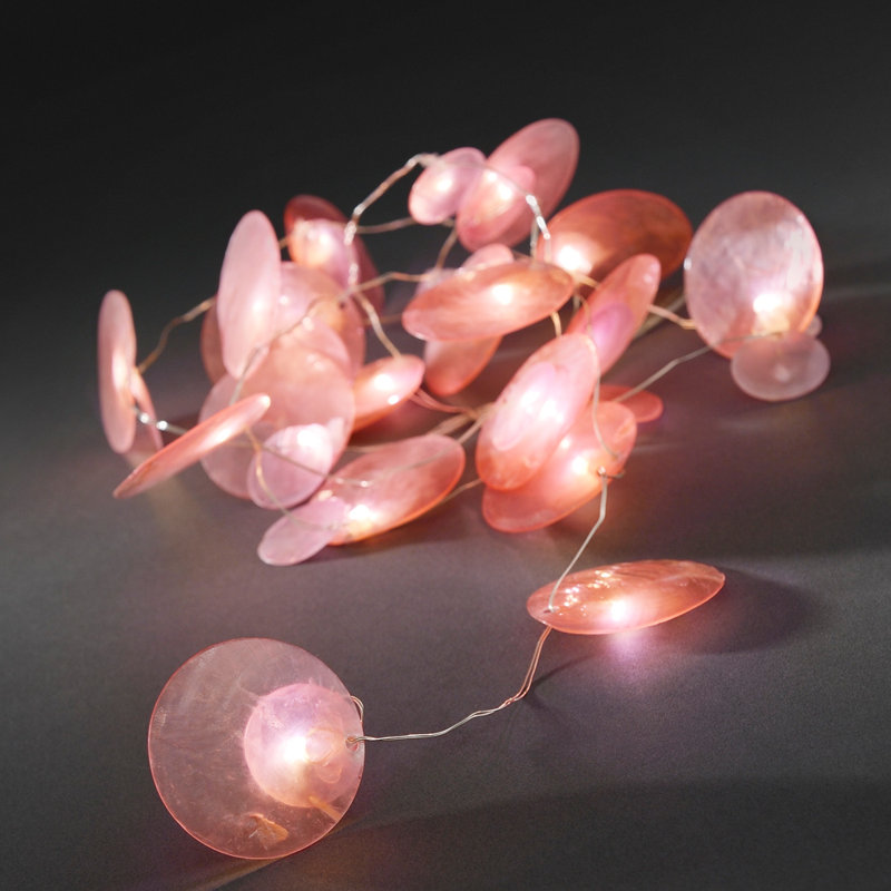Neven 172cm LED Battery Powered 20 - Bulb Novelty String Light