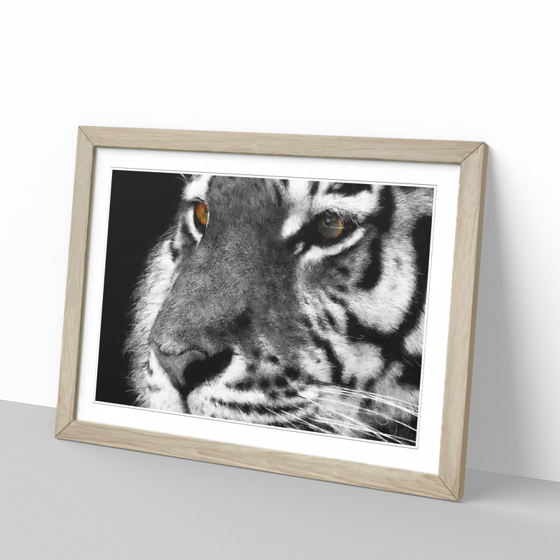 Eyes of the Tiger - Picture Frame Graphic Art Print, 45cm H x 63cm W x 2cm D, Oak Framed
