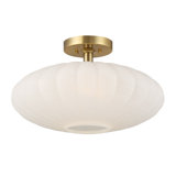 1-Light Ceiling Light
