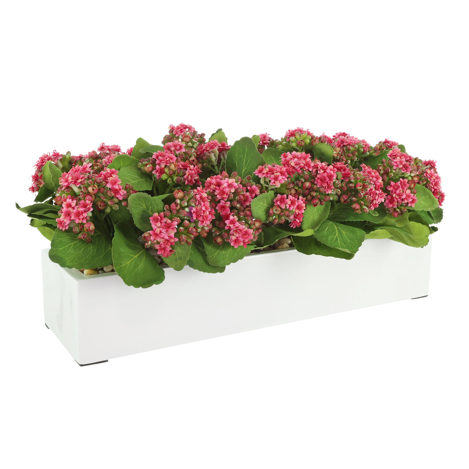 Kalanchoe Arrangement in Fiberstone Planter, Dark Pink, 9.5" H x 23" W x 9.5" D