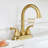 Centerset 2-handle Bathroom Faucet with Drain Assembly-55809706