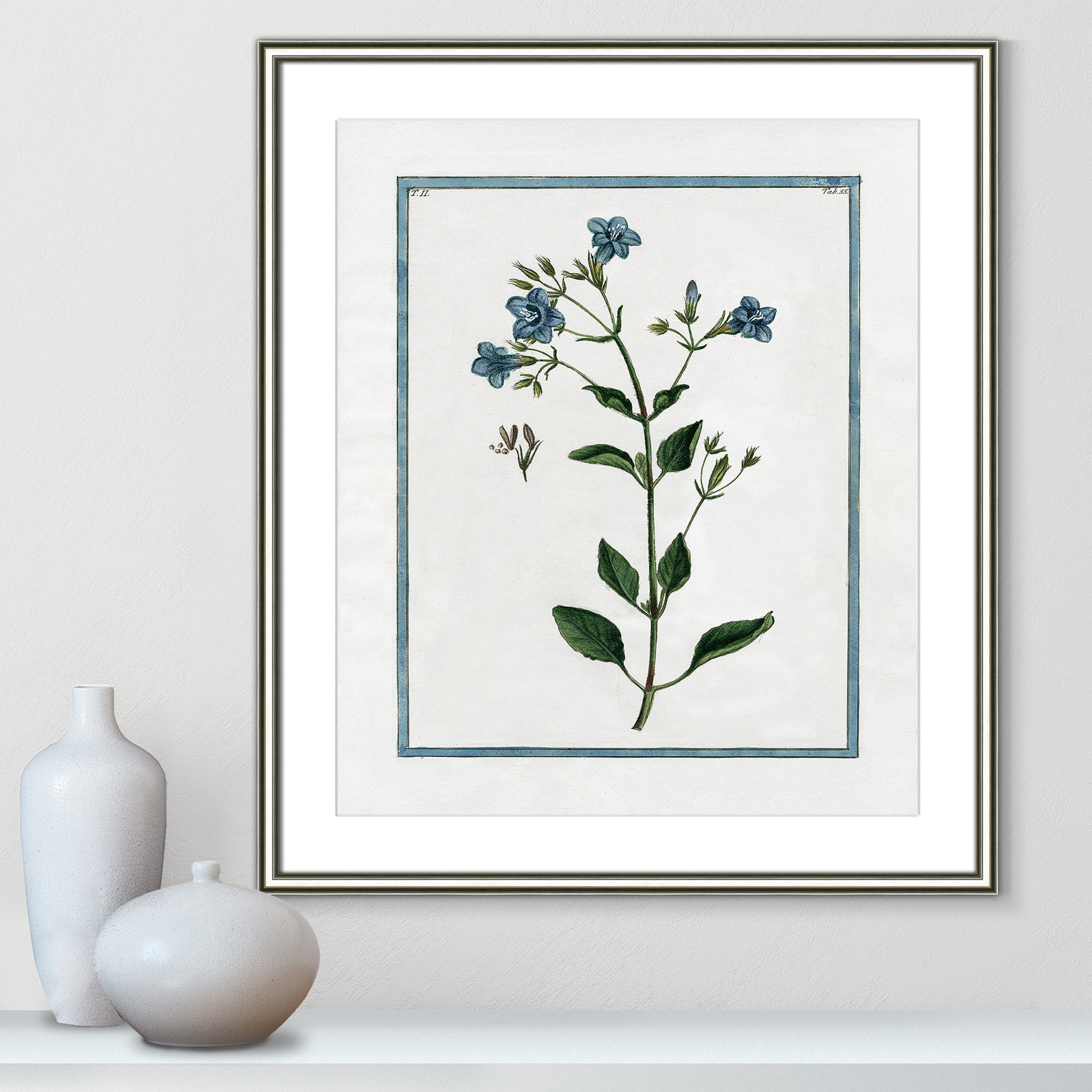 Shabby Elegance Botanical II - Framed Art, 22.75" W x 26.75" H, Silver Framed