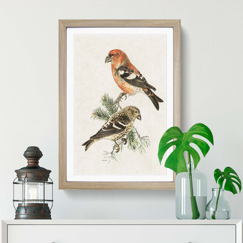 Crossbill Birds by Von Wright - Picture Frame Painting Print, 48cm H x 36cm W x 2cm D, Oak Framed