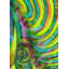 LIBERTAD 7