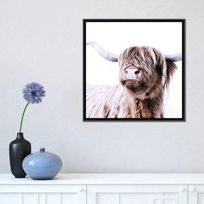 " Highland Cattle Frida I Square " by Monika Strigel
