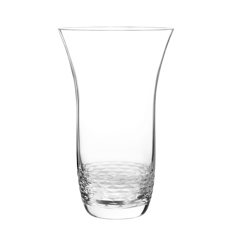 Reef Highball Glass + Reviews