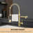 Fapully Pull Down Kitchen Faucet-61611601