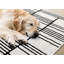 Tapis rayé blanc contemporain contemporain-1699266900