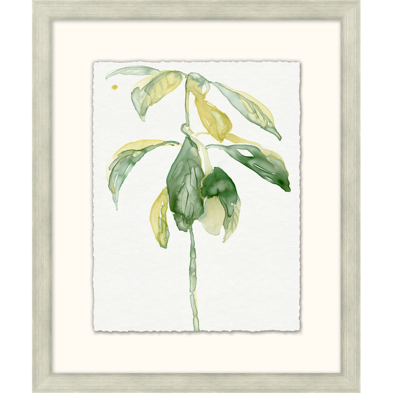 Barden Treasures 1 - Peinture encadrée sur papier