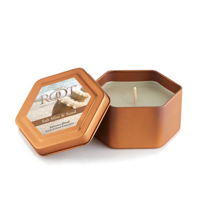 Traveler Salt Mist and Sand Scented Jar Candle