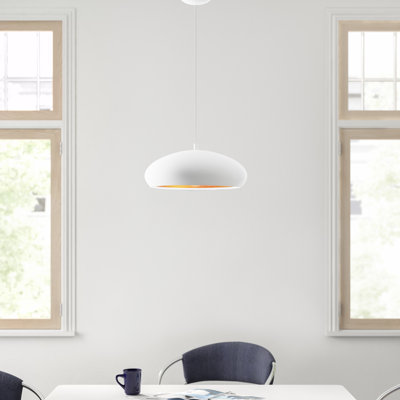 Raina 1 - Light Dome Pendant