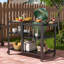 Chariot de barbecue extérieur en acier inoxydable