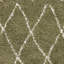 Pechler area rug Machine Woven Green-998175322