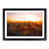 Black Framed