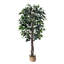 Faux ficus