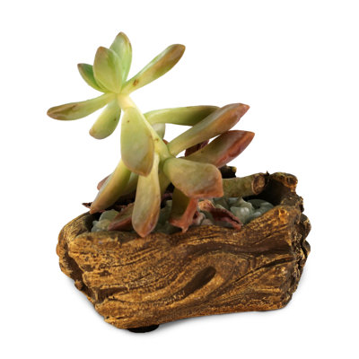 Kellems Ceramic Statue Planter