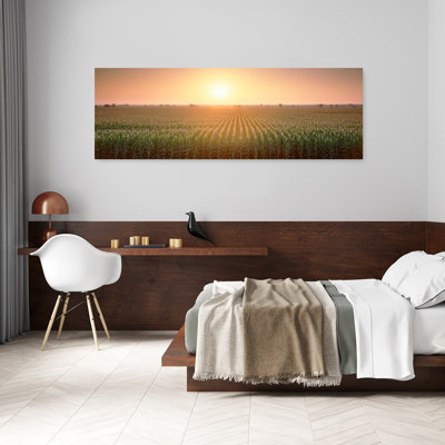 Vue du champ de maïs pendant le lever du soleil, comté de Sacramento, Californie, États-Unis