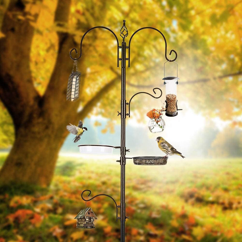 Mangeoire d'oiseaux de luxe de haute qualité