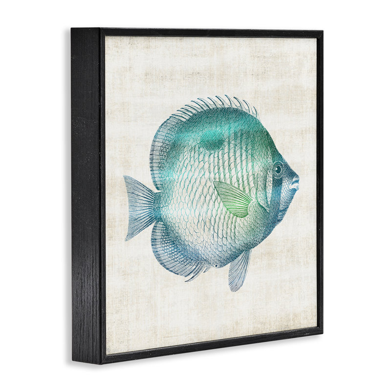 Impression de poisson, Sea Life, giclée encadrée, conception par Susan Arnot, H 12 po x l 12 po, Giclée encadrée noir minuit