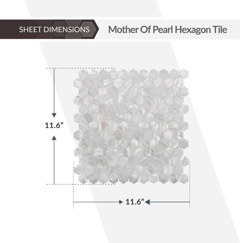11.6" x 11.6" Seashell Honeycomb Mosaic Wall & Floor Tile