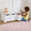 Toy Storage Bench
