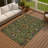 Machine Washable Indoor/Outdoor Chantille ACN2290 Global Rug-1687107751